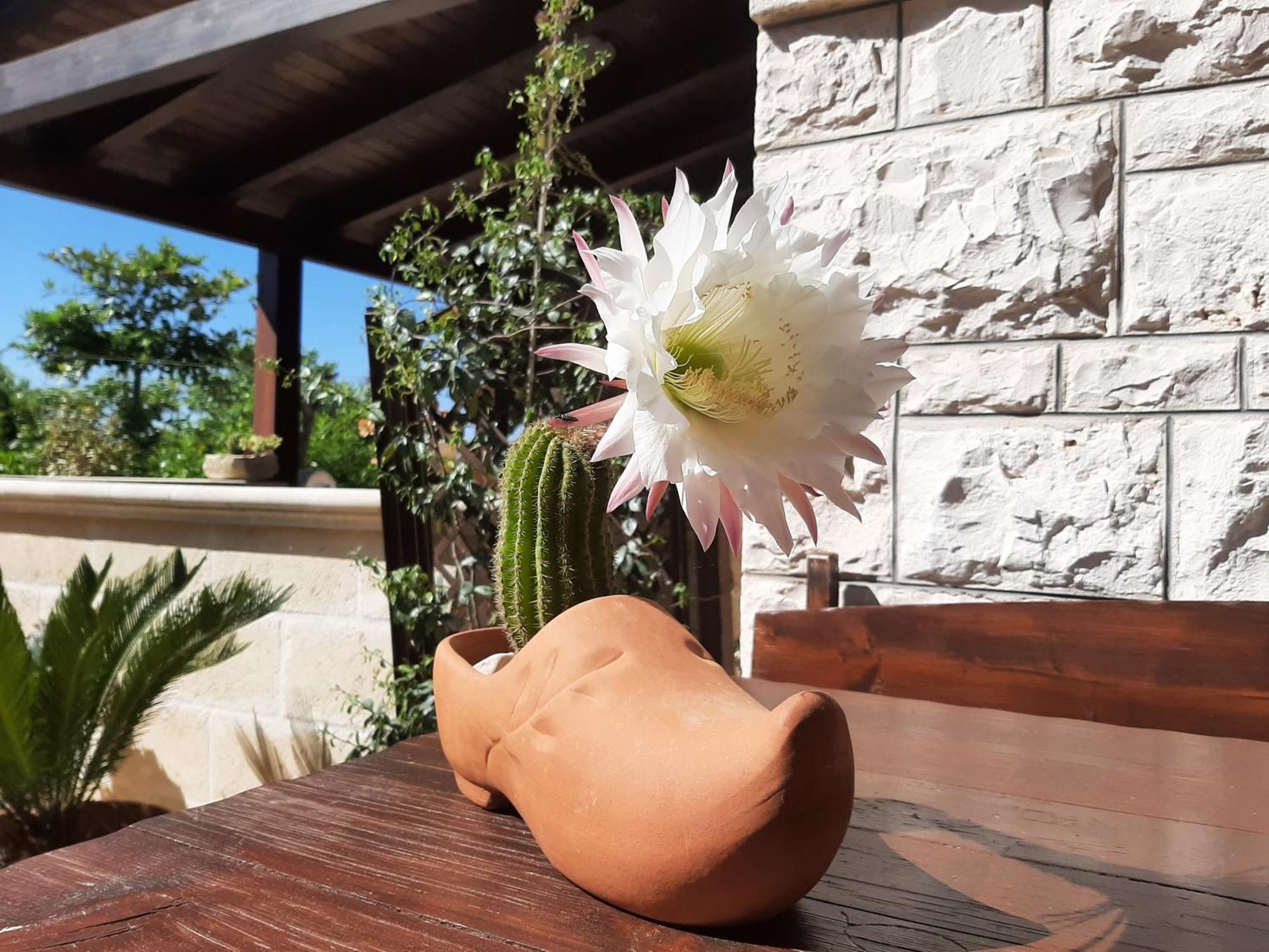 Villa Bellocchio Locorotondo Luaran gambar